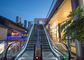 Vitesse de FUJI 0.5m/S avec l'escalator économique des prix dans le centre commercial à vendre