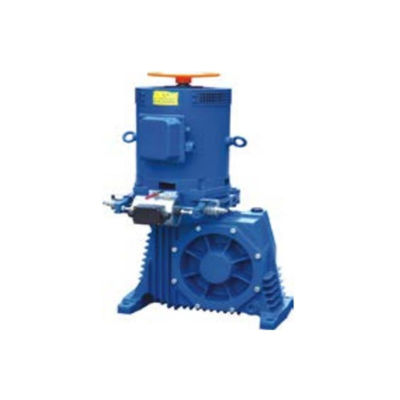 AC220V entraînement de la rampe roulante de freinage E-entraînement de l' élan et de l' entraînement du flux de glisse