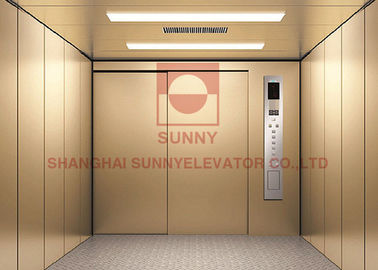 Entreposez le CE industriel peint d'ascenseur d'ascenseur d'ascenseur d'ascenseur de cargaison/ISO9001