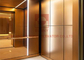 630 kg 1,0 m/S 7 arrêts Ascenseur de passagers Ascenseur système de traction Ascenseur