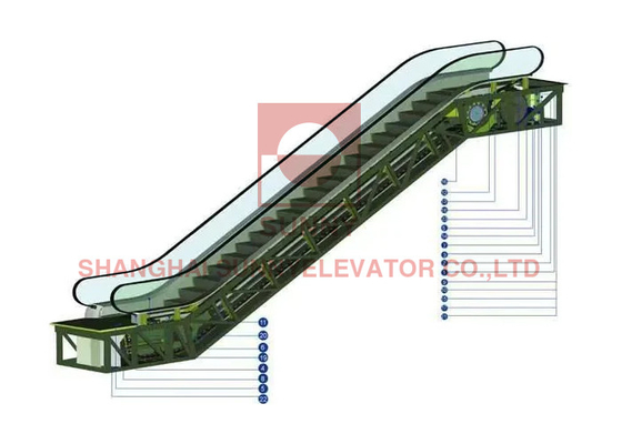 600 mm/800 mm/1000 mm Escalators mécaniques personnalisés à l'extérieur Passerelles mobiles étanches