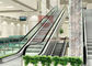 ascenseur à vis d'escalator de centre commercial de la cascade 0.5m du souterrain 2 de 1000mm