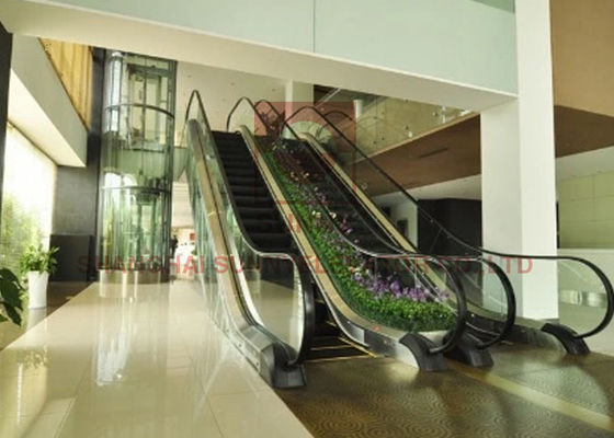 Vis de la balustrade VVVF conduisant 1000mm escalator extérieur de 30 degrés