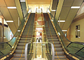 Passage couvert d'intérieur d'escalator de centre commercial de 35 angles avec la protection de bordage