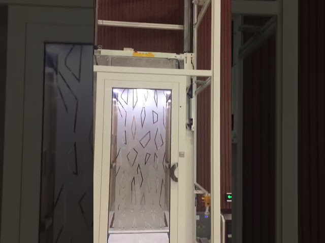 500kg Titane miroir gravure en acier inoxydable Ascenseur de villa de passagers Avec une bonne qualité