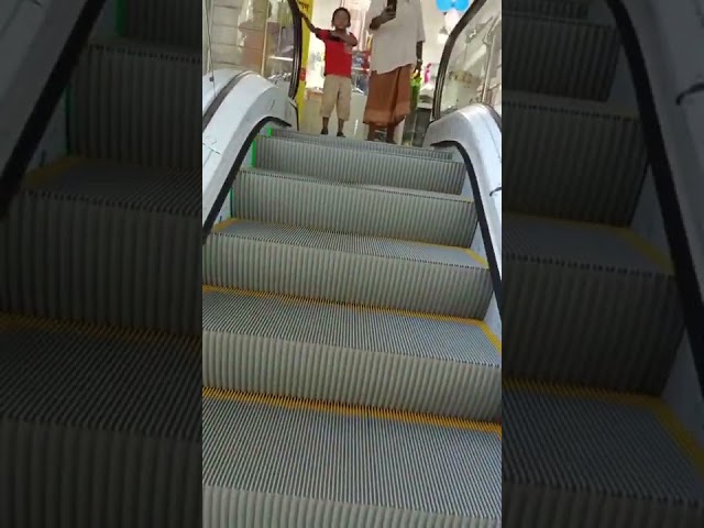 Escalator commercial de centre commercial avec 30 le contrôle de Vvvf de largeur d'étape du degré 1000mm