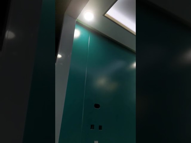 grande vitesse de Sunny Machineless Elevator Less Space d'ascenseur de 1600kg LMR